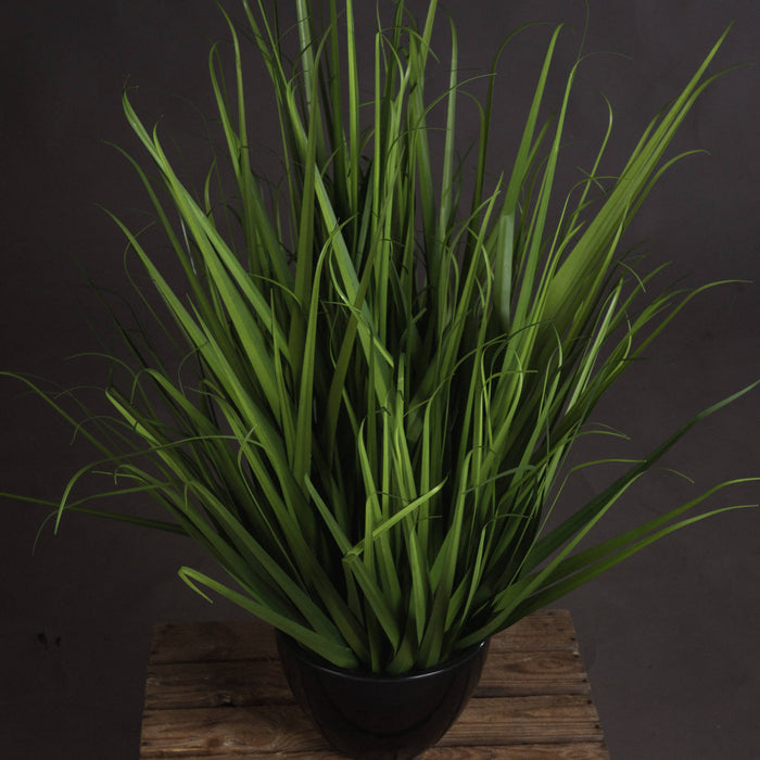 Large Field Grass pot