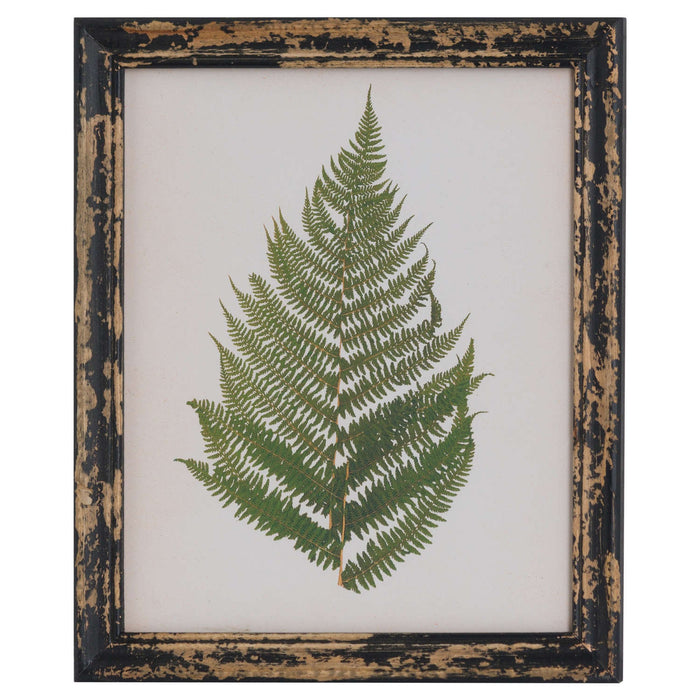 Rustic Framed Botanical Fern Picture