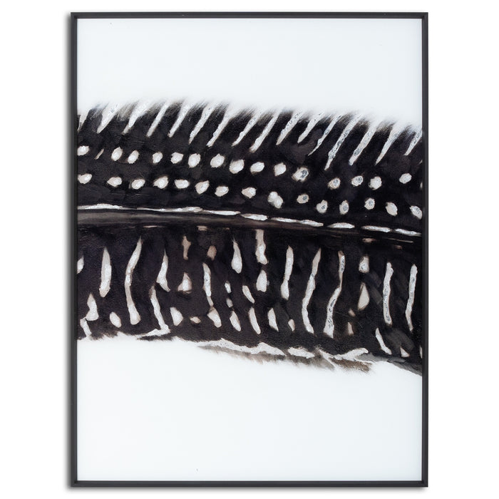 Black Feather With White Spots Over 3 Black Glass Frames