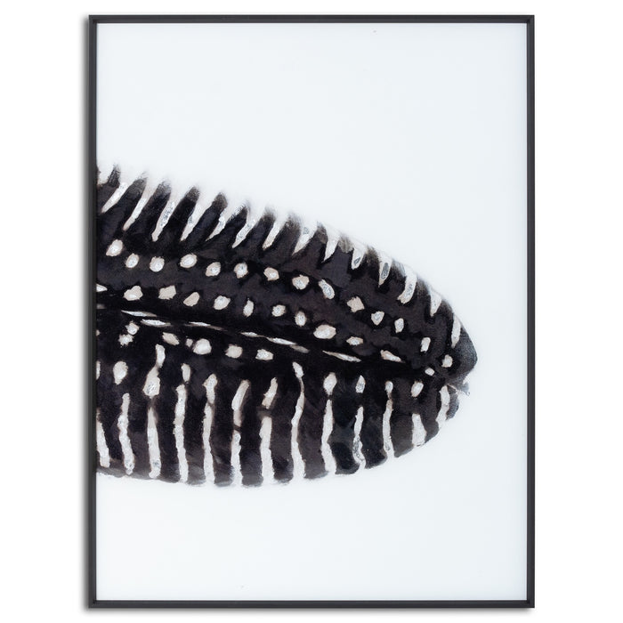 Black Feather With White Spots Over 3 Black Glass Frames