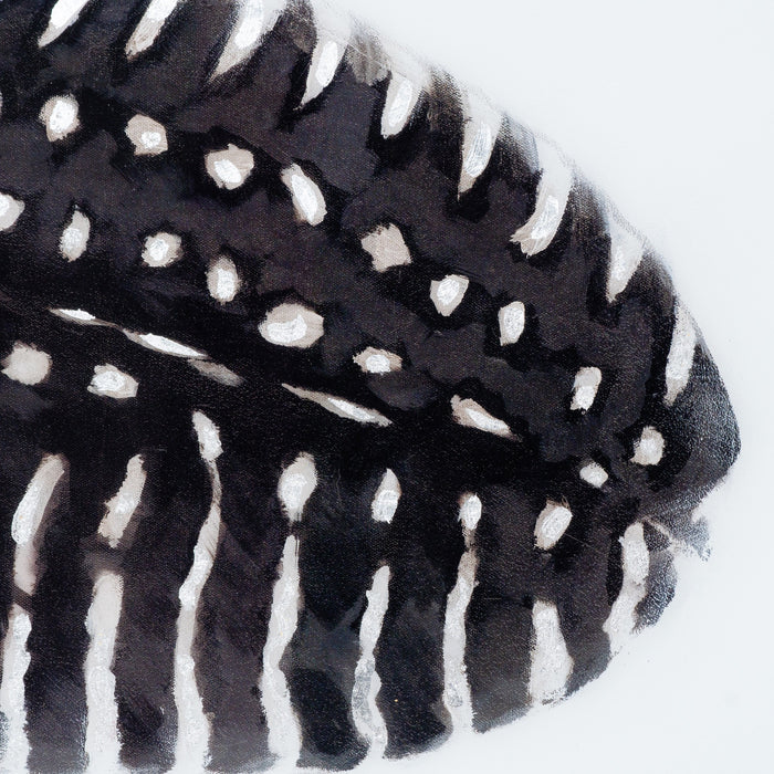 Black Feather With White Spots Over 3 Black Glass Frames