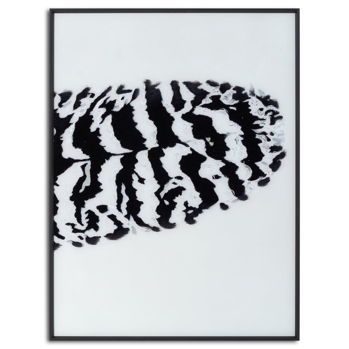 Black Striped Feather Over 3 Black Glass Frames