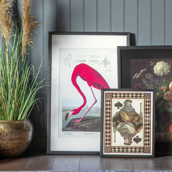 Curious Flamingo Framed Art