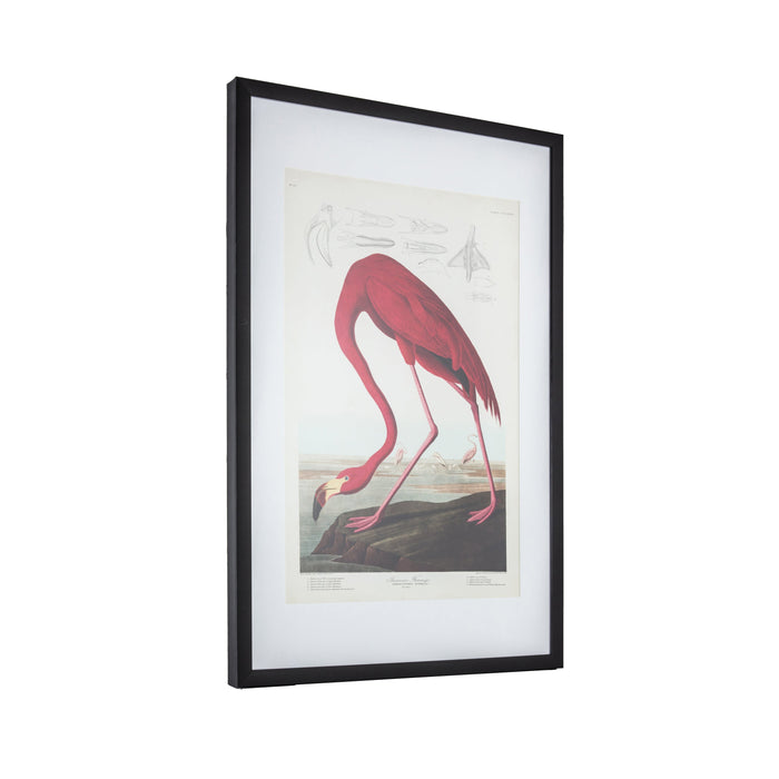 Curious Flamingo Framed Art